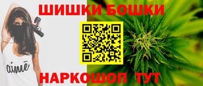 МДПВ Пенза