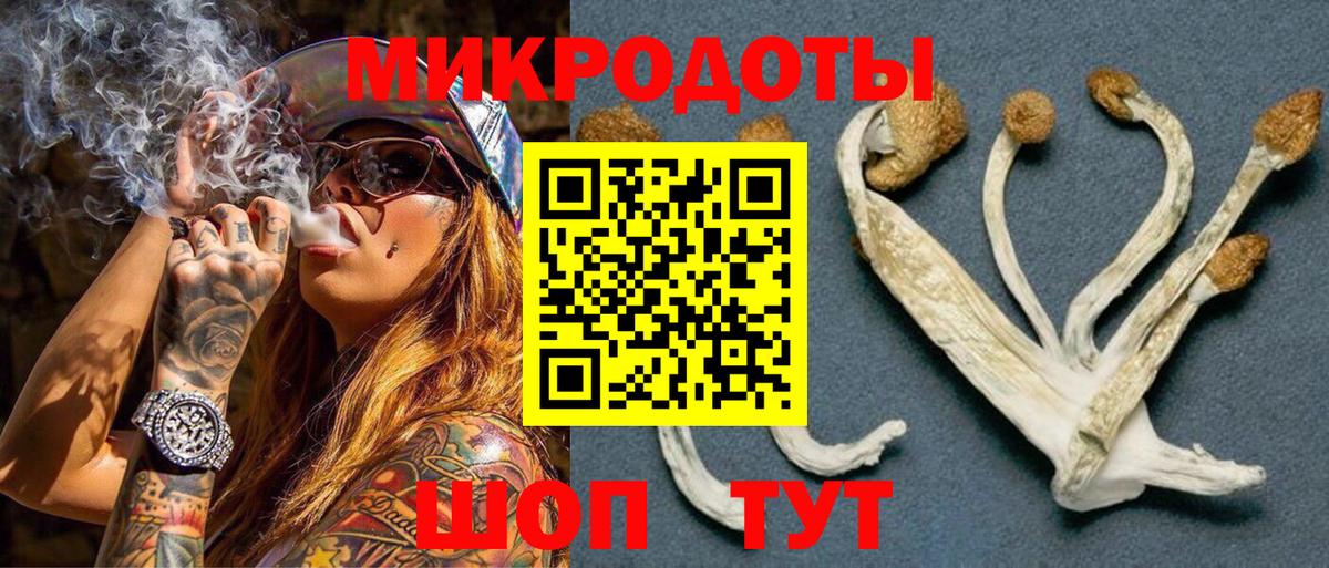 Галлюциногенные грибы Psilocybine cubensis Приморско-Ахтарск